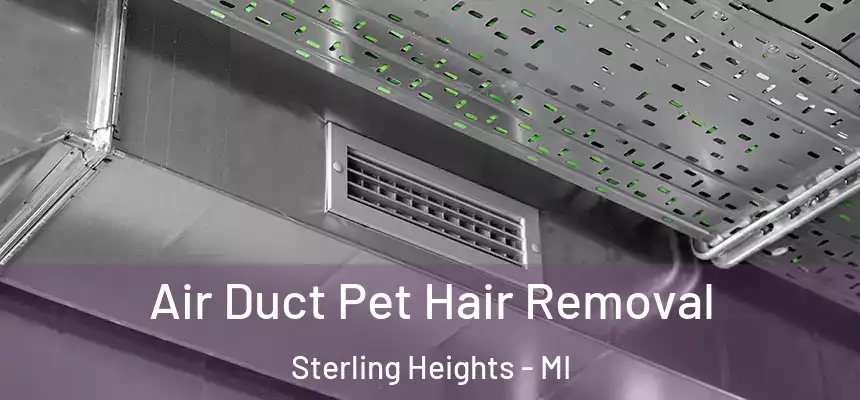 Air Duct Pet Hair Removal Sterling Heights - MI