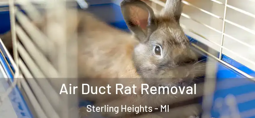  Air Duct Rat Removal Sterling Heights - MI