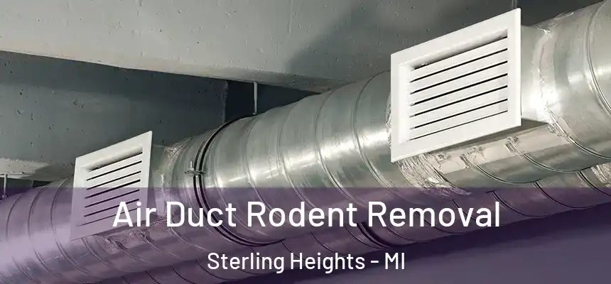  Air Duct Rodent Removal Sterling Heights - MI