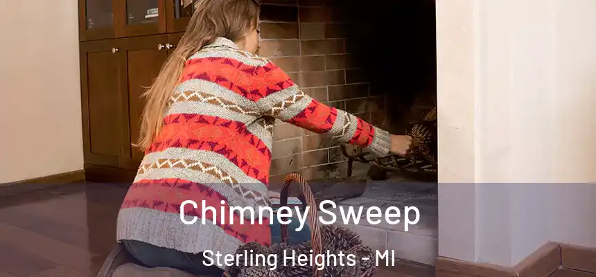 Chimney Sweep Sterling Heights - MI