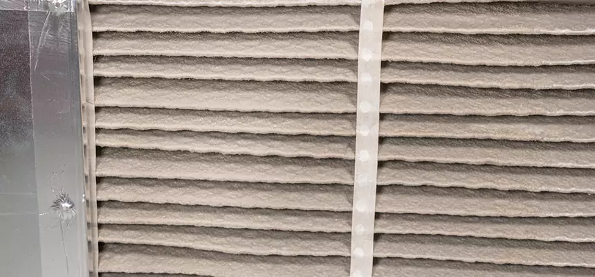 Mobile Car AC Filter Replacement in Sterling Heights