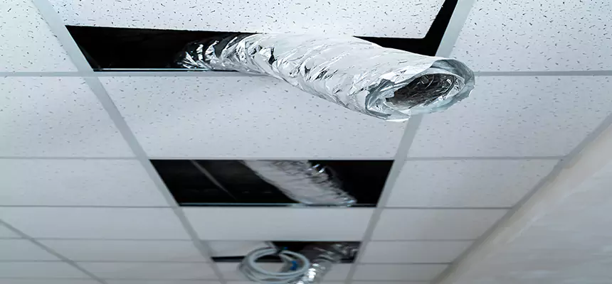 Our Air Duct Pet Hair Removal Services in Sterling Heights, MI