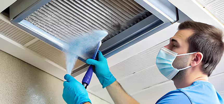 Proactive Dryer Vent & Auxiliary Duct Pollen Cleanup in Sterling Heights, MI