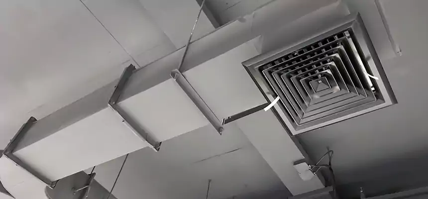 Restorative Allergy Relief Vent Cleaning – Coil, Blower & Housing Detail in Sterling Heights