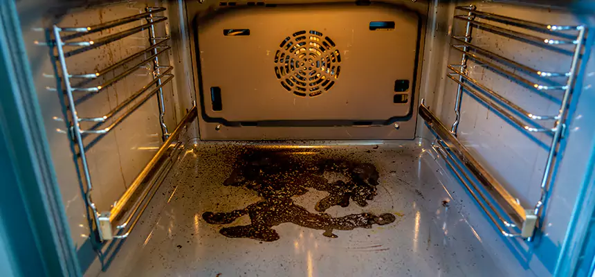 Our Dryer Vent Mold Cleaning Services in Sterling Heights, MI