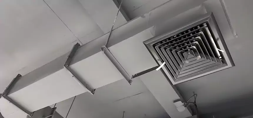 Our Pest Removal From Ducts Services in Sterling Heights, MI