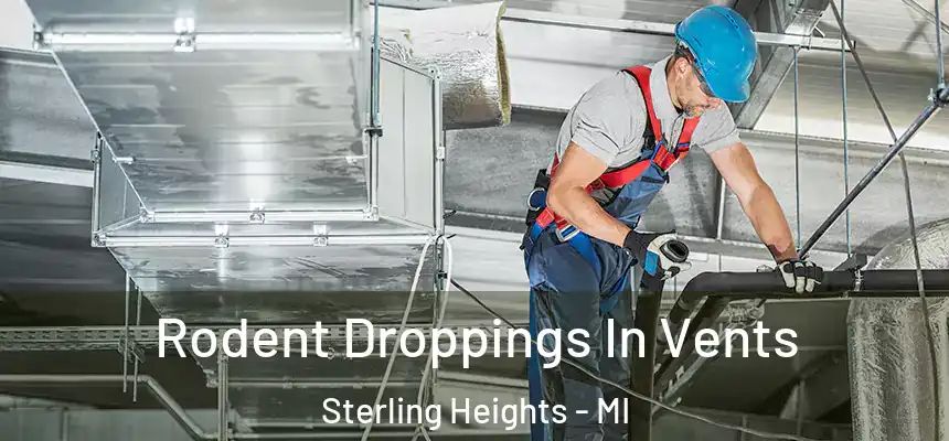 Rodent Droppings In Vents Sterling Heights - MI