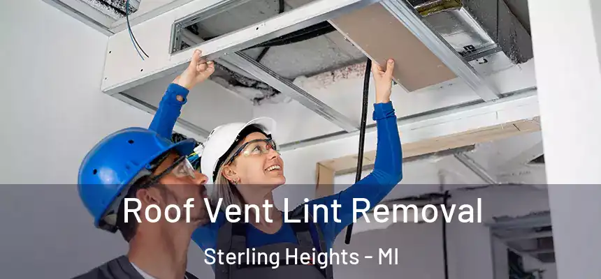 Roof Vent Lint Removal Sterling Heights - MI