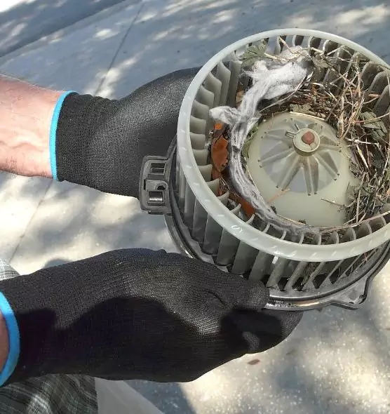 About Air Duct Mice Removal in Sterling Heights, MI