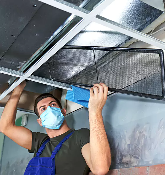 Professional Air Duct Pollen Cleaning in Sterling Heights, MI