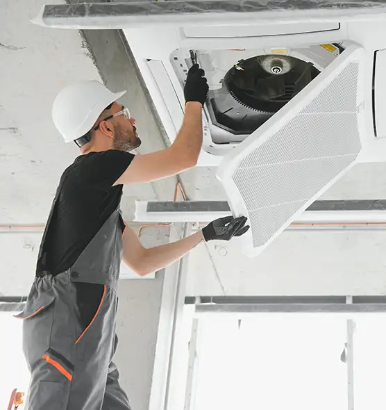 About Air Duct Rodent Removal in Sterling Heights, MI