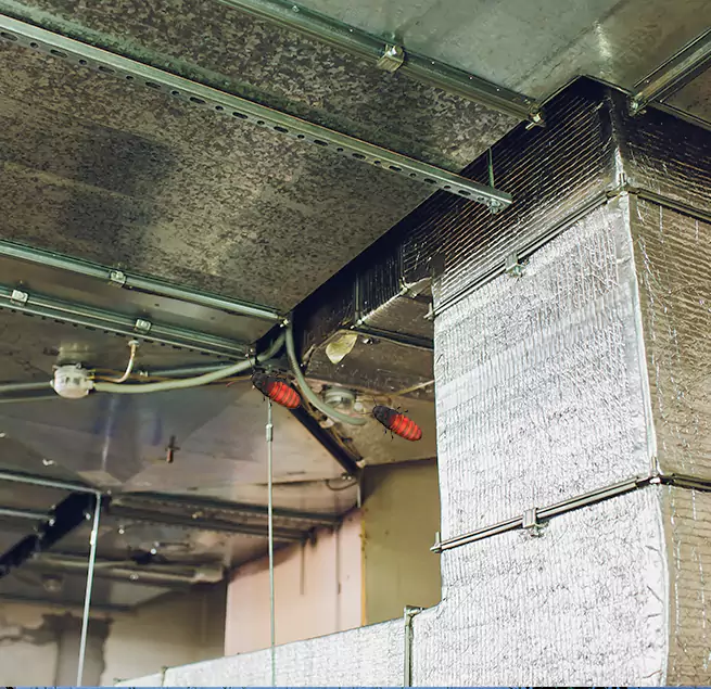 Why Homeowners & Businesses Trust Us in Sterling Heights, MI?