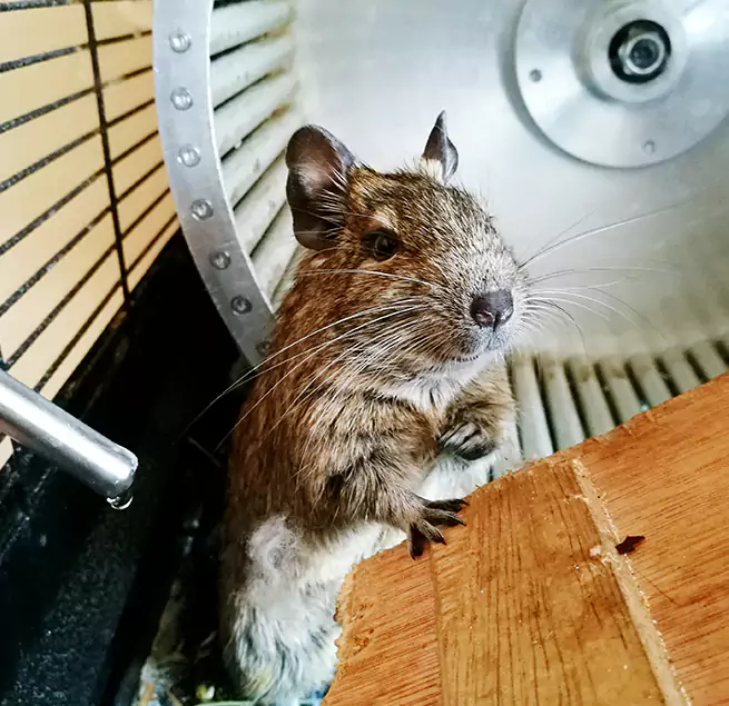 Why Homeowners & Businesses Trust Us Sterling Heights, MI